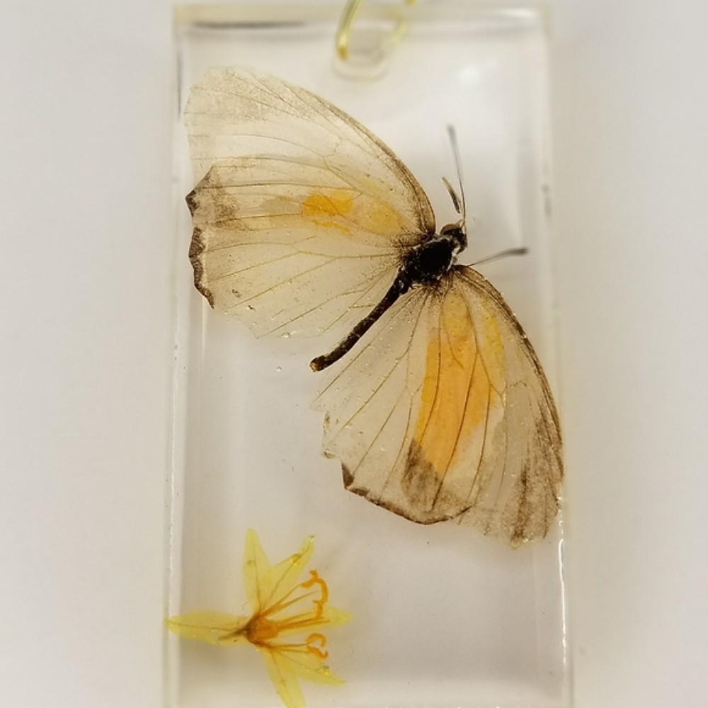 Real Butterfly 🦋 and Flower Necklace